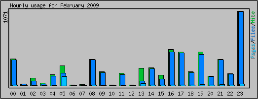 Hourly usage