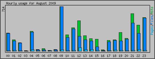 Hourly usage