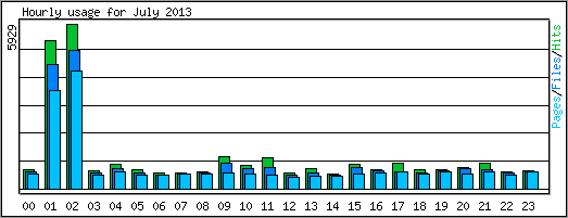 Hourly usage