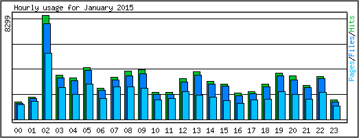 Hourly usage