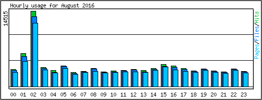 Hourly usage