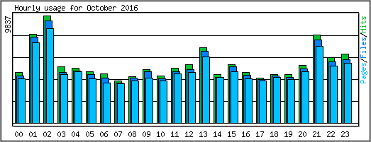 Hourly usage