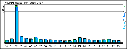 Hourly usage