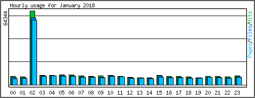 Hourly usage
