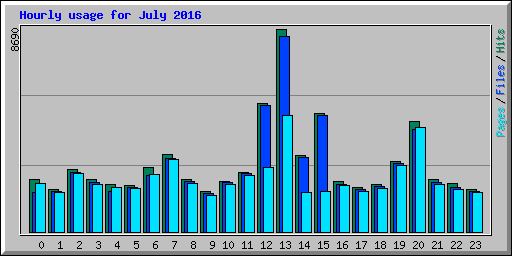 Hourly usage for July 2016