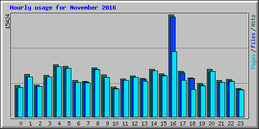 Hourly usage for November 2016