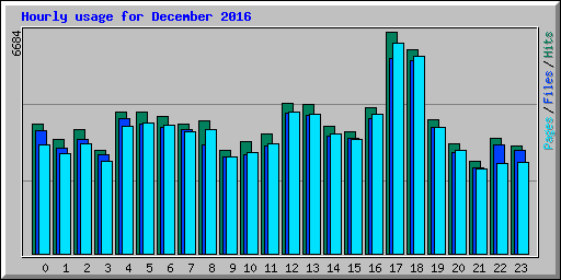 Hourly usage for December 2016