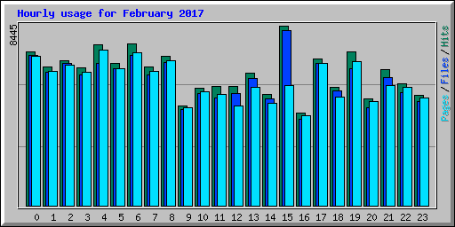 Hourly usage for February 2017